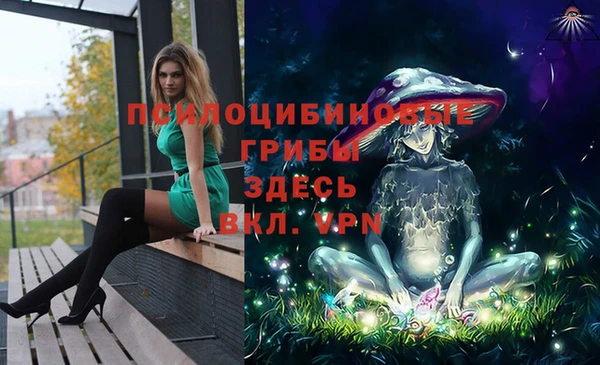 амф Верея