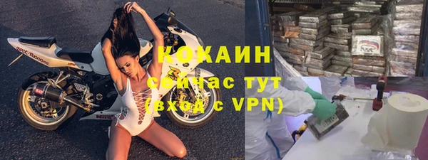 амф Верея