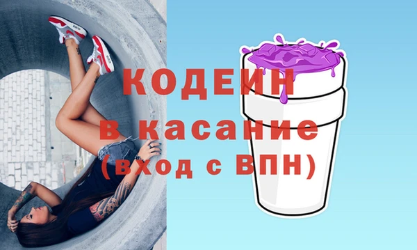 амф Верея