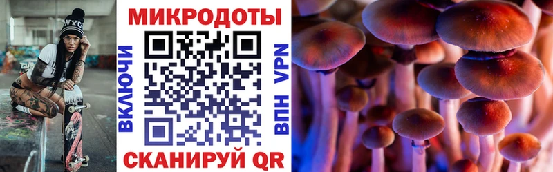 Псилоцибиновые грибы MAGIC MUSHROOMS Таруса